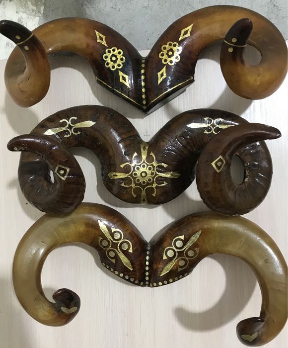 Продам рога різні на вибір