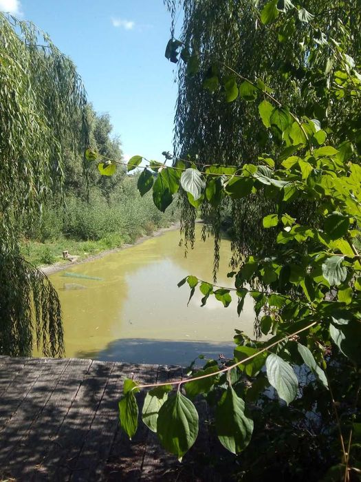 Продам маєток в Мотовилівський Слобідці (Фастівський р-н)!