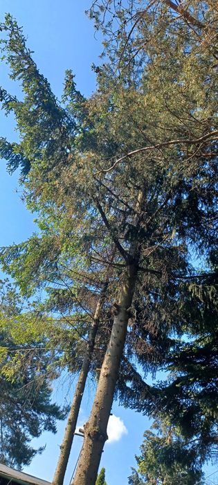 piękna klimatyczna działka rekreacyjna