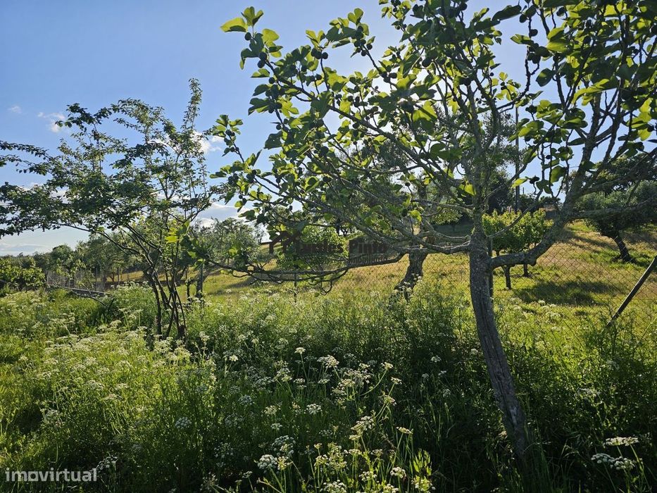 Quintinha em Maxiais