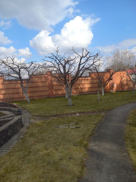 ОБРІЗКА, ОБРОБКА  плодового саду  Васильків, р-н