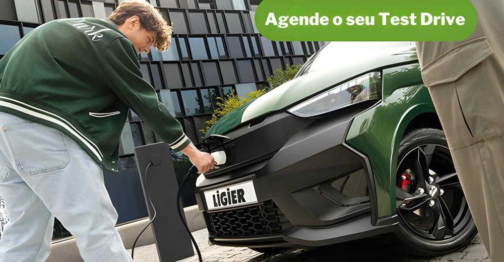 Reparação / revisão Ligier ou Microcar
