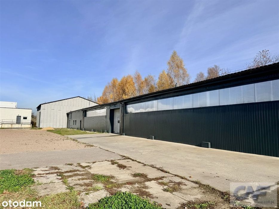 Czeladź, Wojkowicka 14a, Hala i biura 854m2