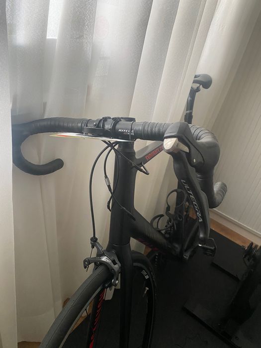 Canyon Endurace CF Carbono | Shimano Ultegra 11v | DT Swiss