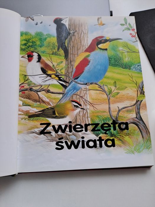Zwierzęta świata