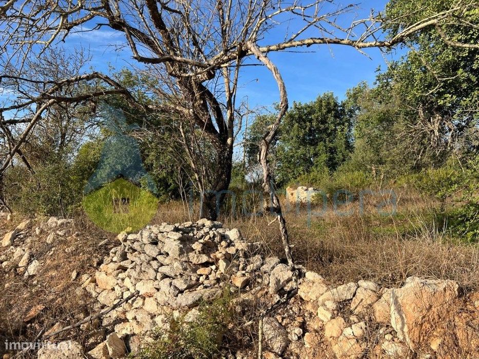 Terreno Rústico Em Zona Previligiada Electricidade E Vista Deslumbr... — Paderne, Faro