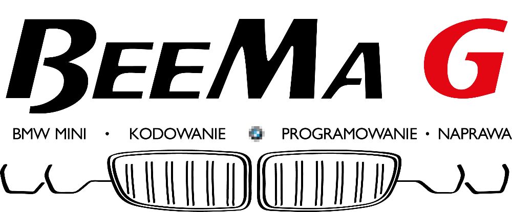 BMW MINI Kodowanie Konwersja USA Język Polski Serwis Mapy Aktualizacja