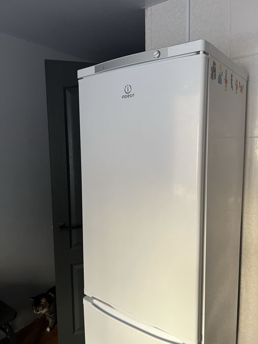Холодильник Indesit
