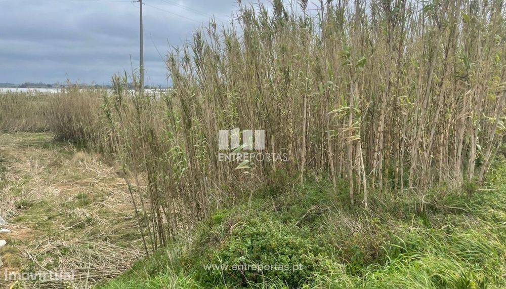 Venda de Terreno de Terreno Agrícola, em Estela, Póvoa de Varzim