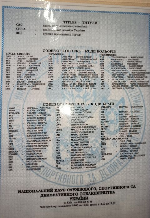 В'язка той терер (кобель)