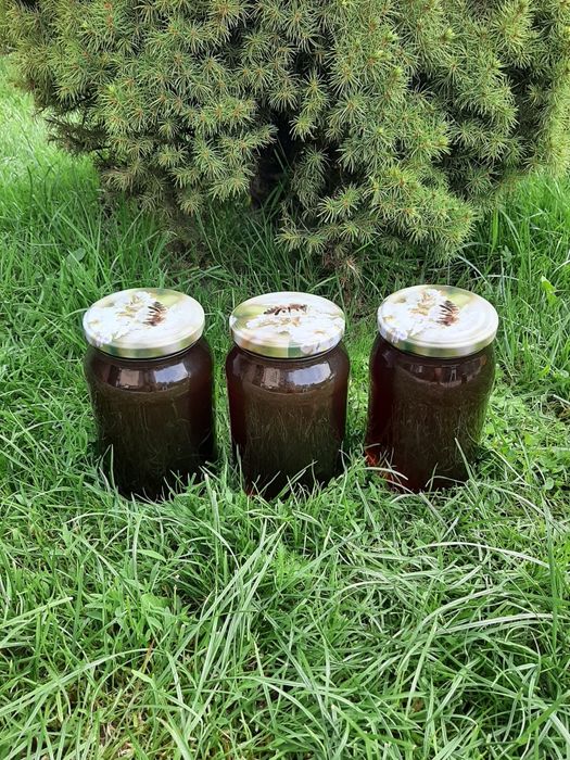 Miód spadziowy naturalny