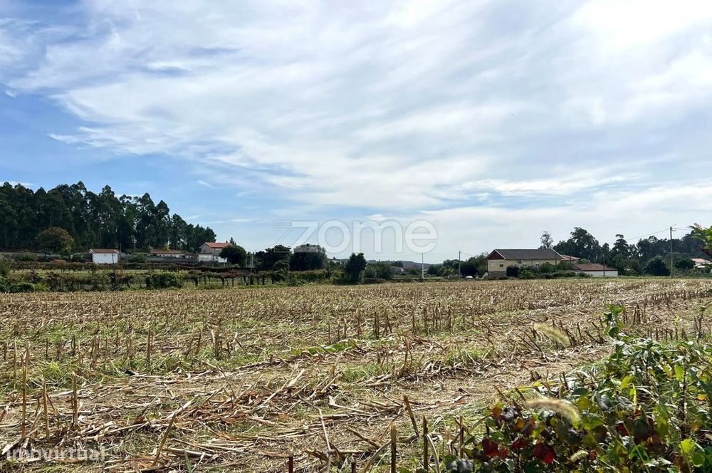 Terreno Agrícola em Sequeade, Barcelos