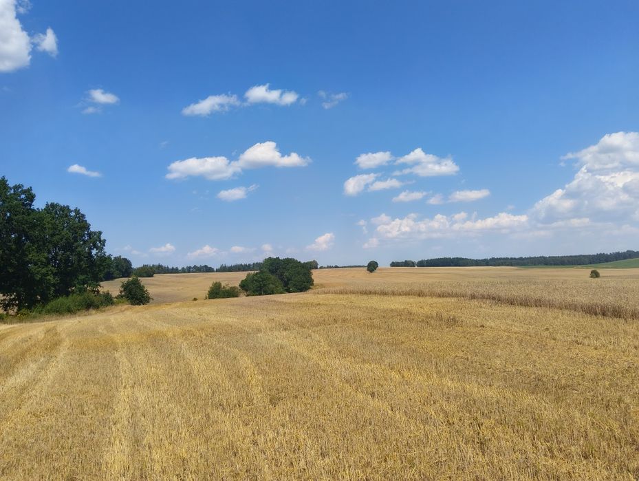 Sprzedam Działki Budowlane - Widok 3