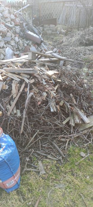 Drewno-korzenie, gałęzie oddam