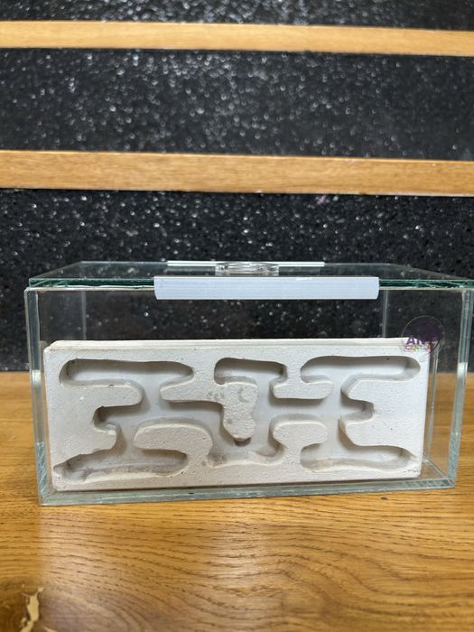 Gniazdo dla mrówek AntCenter + Arena + GRATIS Probówka