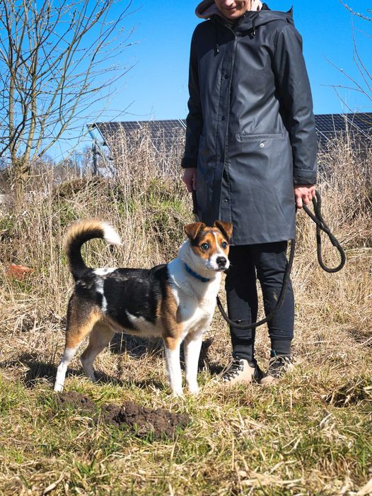 Rio nie widzi świata – ale szuka w nim swojego człowieka