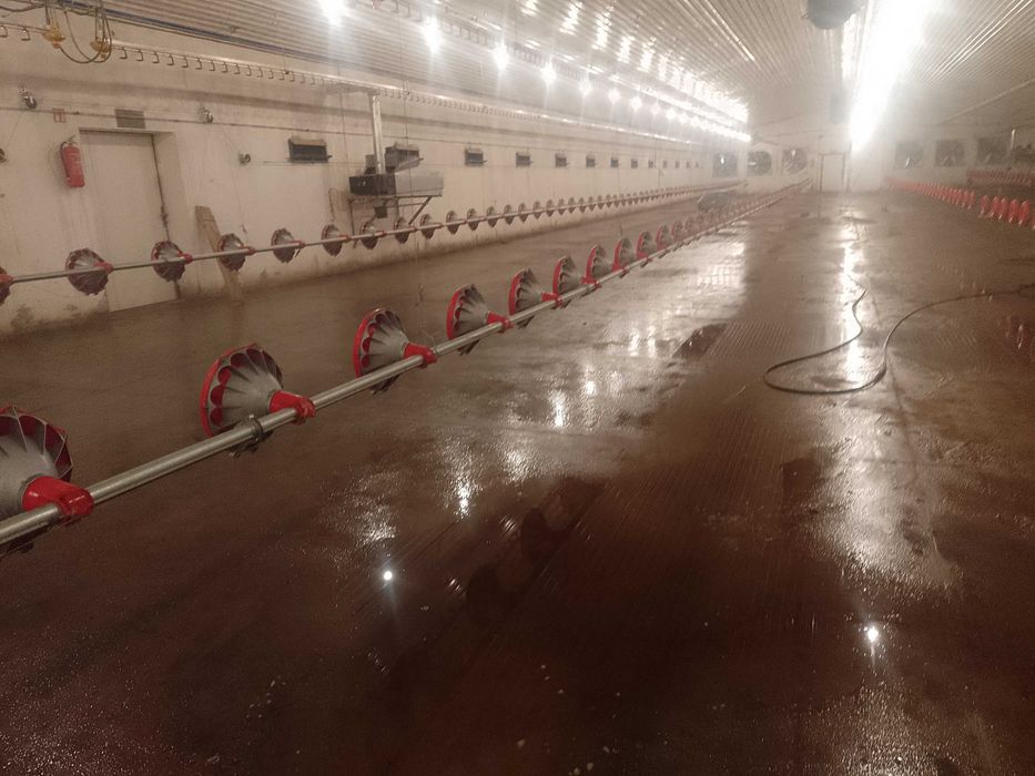 Mycie Kurnikow ciśnieniowo