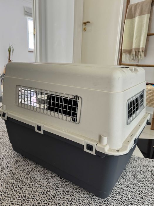 Transportador para Cães -  IATA -23kg - Com Rodas, Colchão e Comedouro