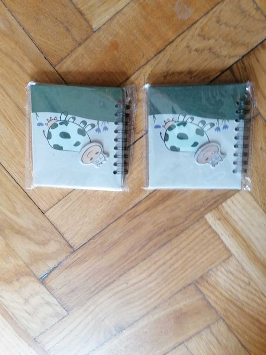 Notesy dla dzieci w sztywnej oprawie