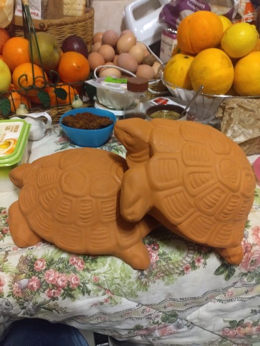 Vendo tartarugas para jardim