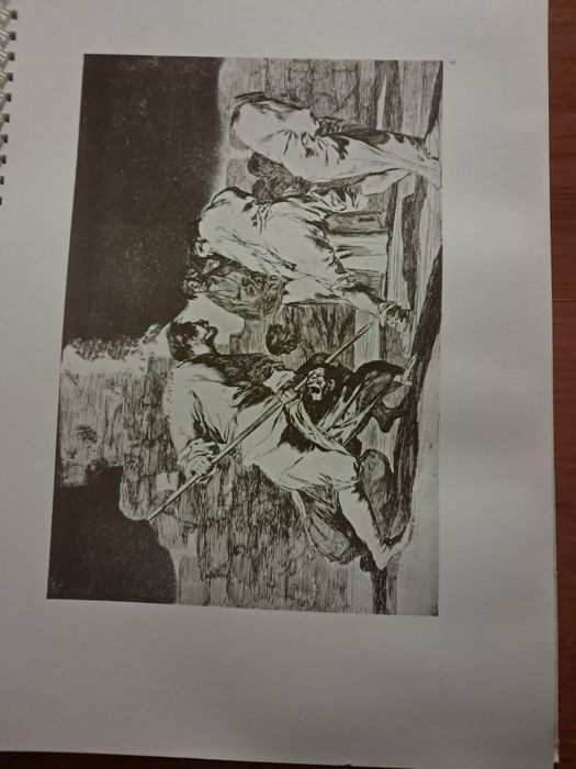 Los Proverbios (Disparates) de Goya por António de Horna