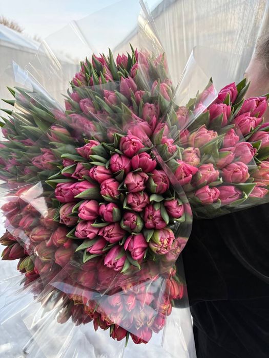 Квіти Тюльпани зріз опт