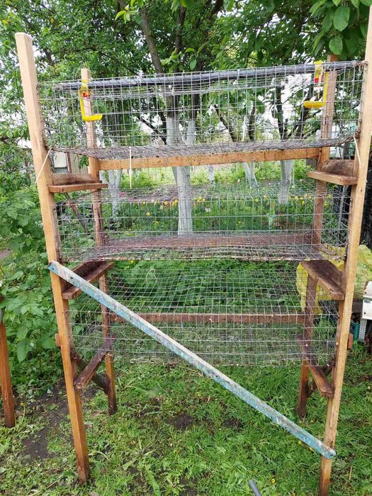 Клітки для перепелів