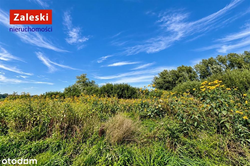 Pruszcz Gdański, działka pod zabudowę wolnostojącą
