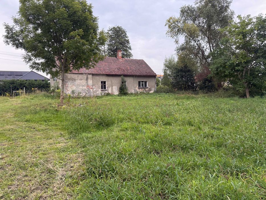 Dom – Wołów - Więcej