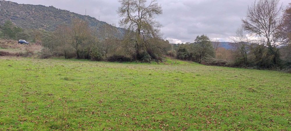 Terreno Rustico com Casa Antiga