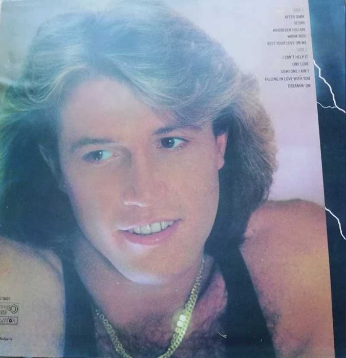 Andy Gibb After Dark Winyl