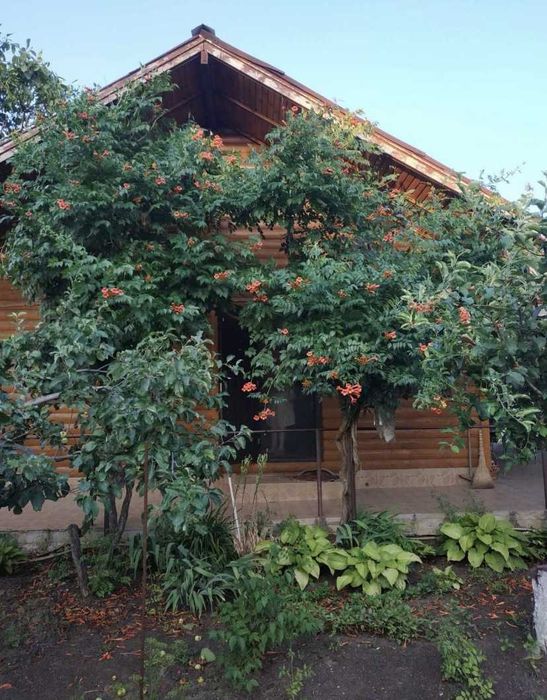 Продам качественный дом дачу ряном с лиманом  .