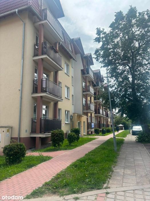 Mieszkanie – Żary, Osiedle Lotnisko - Widok 5