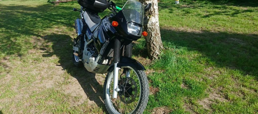 Kawasaki kle 500