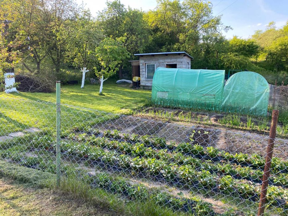 Działka ROD - na sprzedaż