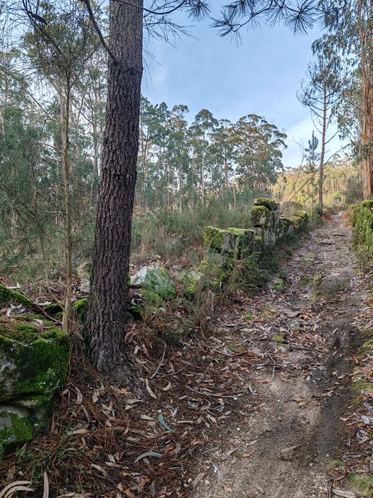 Terreno 4 Hetares Alugo/troco