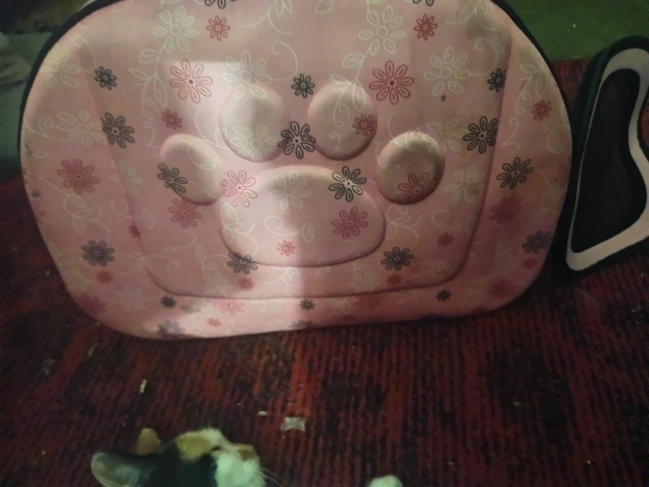 350 грн переноска для котів