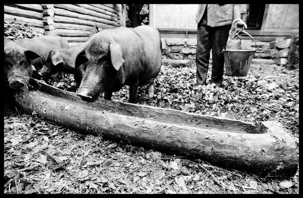 Fotografias decorativas - P&B - China