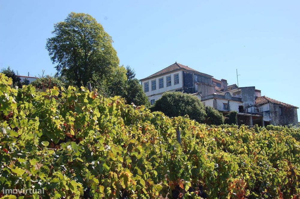 Quinta de Balteiro | Armamar | Douro | Portugal