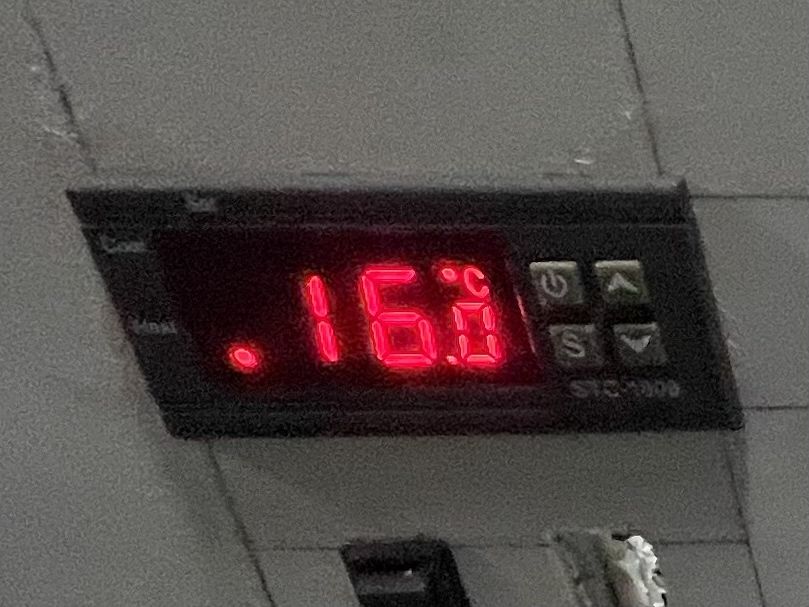 Maternidades para aves