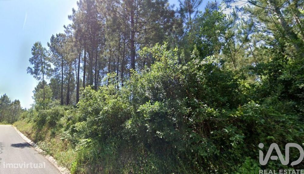 Terreno Agrícola em Maceira