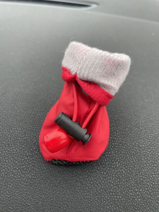 Черевчики для собаки | взуття для собаки