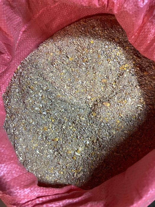 Pasza dla kur niosek