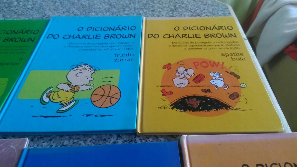 Vários dicionários novos