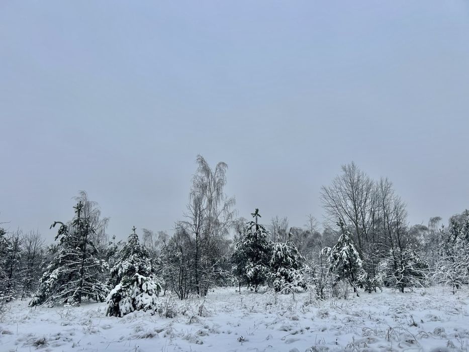 Земельна ділянка 78,7 Га !!! Фасівочка!