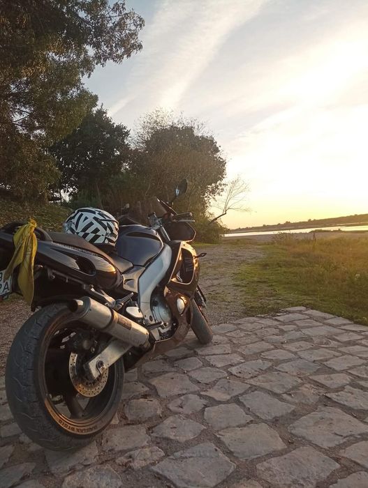 Troco Yamaha ThunderCat por jipe