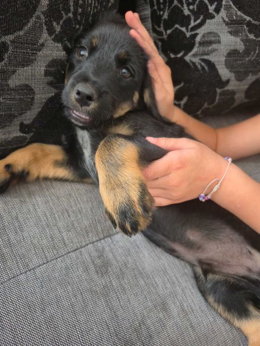 Oddam w dobre ręce