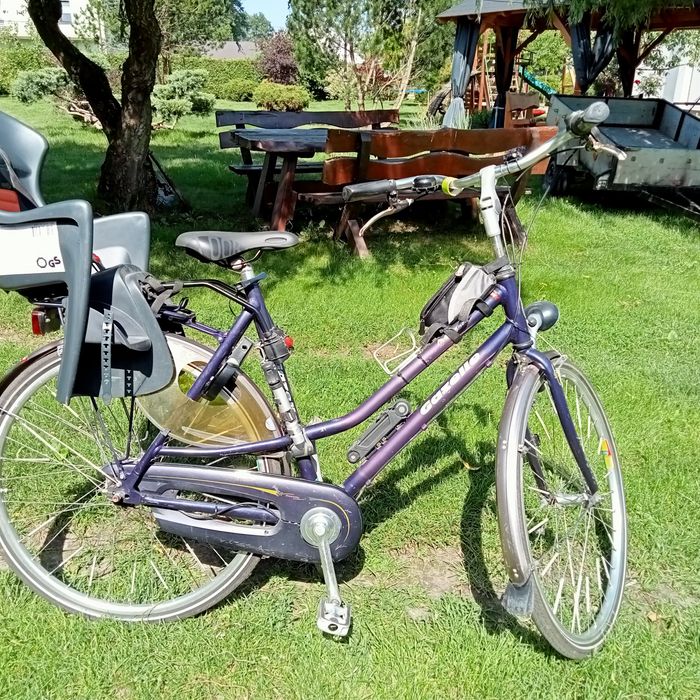 Rower gazelle używany