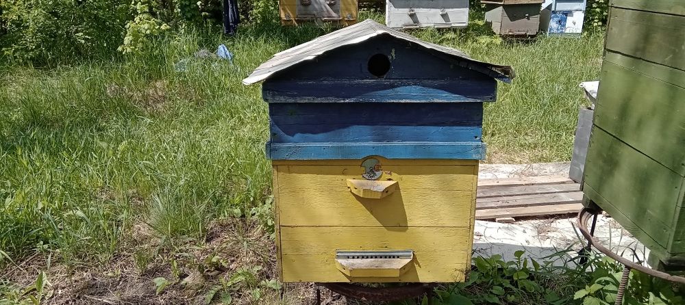 Вулики для пчёл в хорошем состоянии