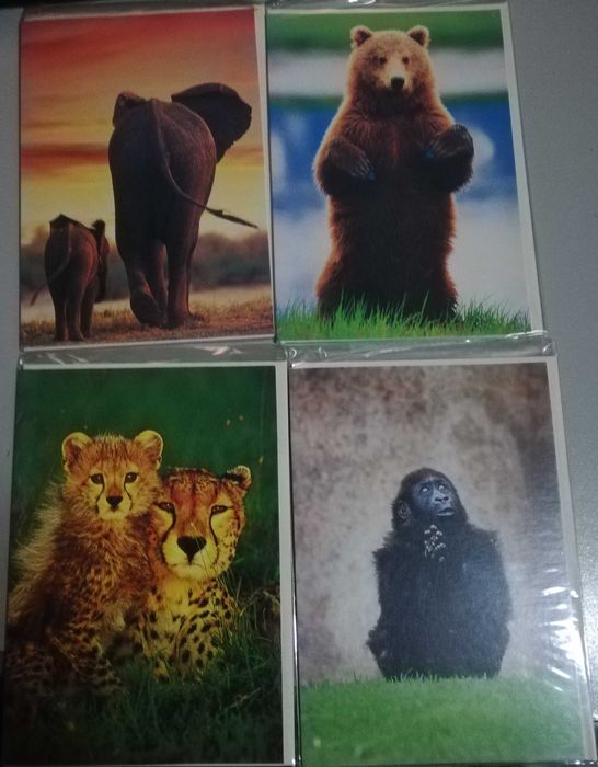 8 postais divertidos - novos